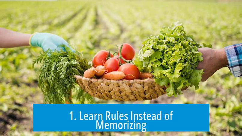 1. Learn Rules Instead of Memorizing