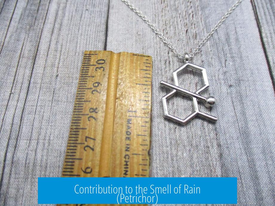 Contribution to the Smell of Rain (Petrichor)
