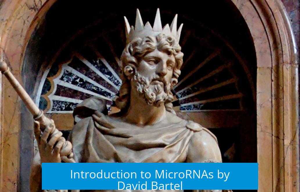 Introduction to MicroRNAs by David Bartel