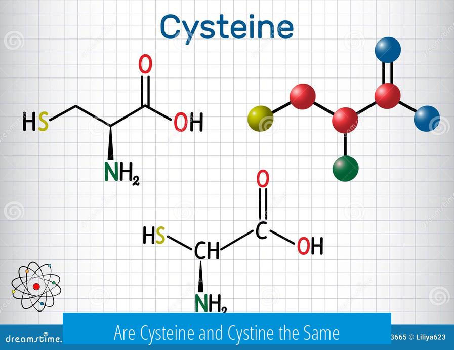 Are Cysteine and Cystine the Same?