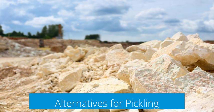 Alternatives for Pickling