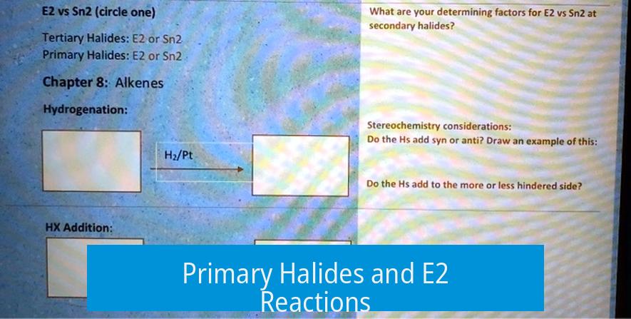 Primary Halides and E2 Reactions