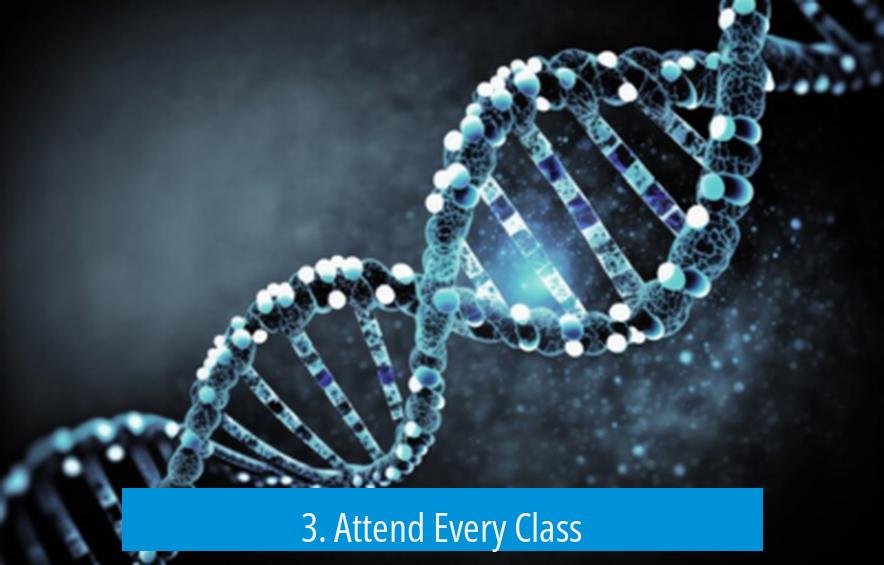 3. Attend Every Class