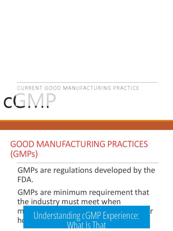 Understanding cGMP Experience: What Is That?