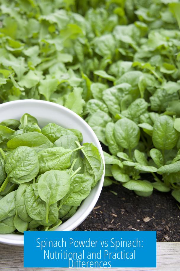 Spinach Powder vs Spinach: Nutritional and Practical Differences