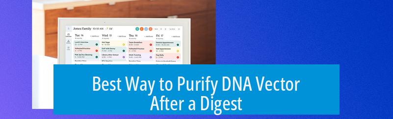 Best Way to Purify DNA Vector After a Digest