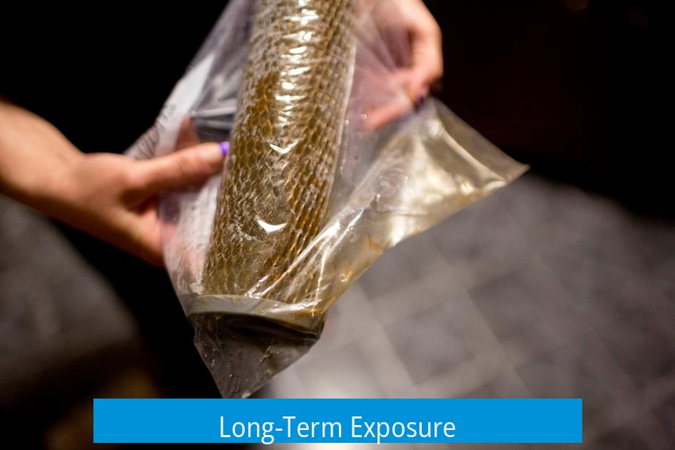 Long-Term Exposure
