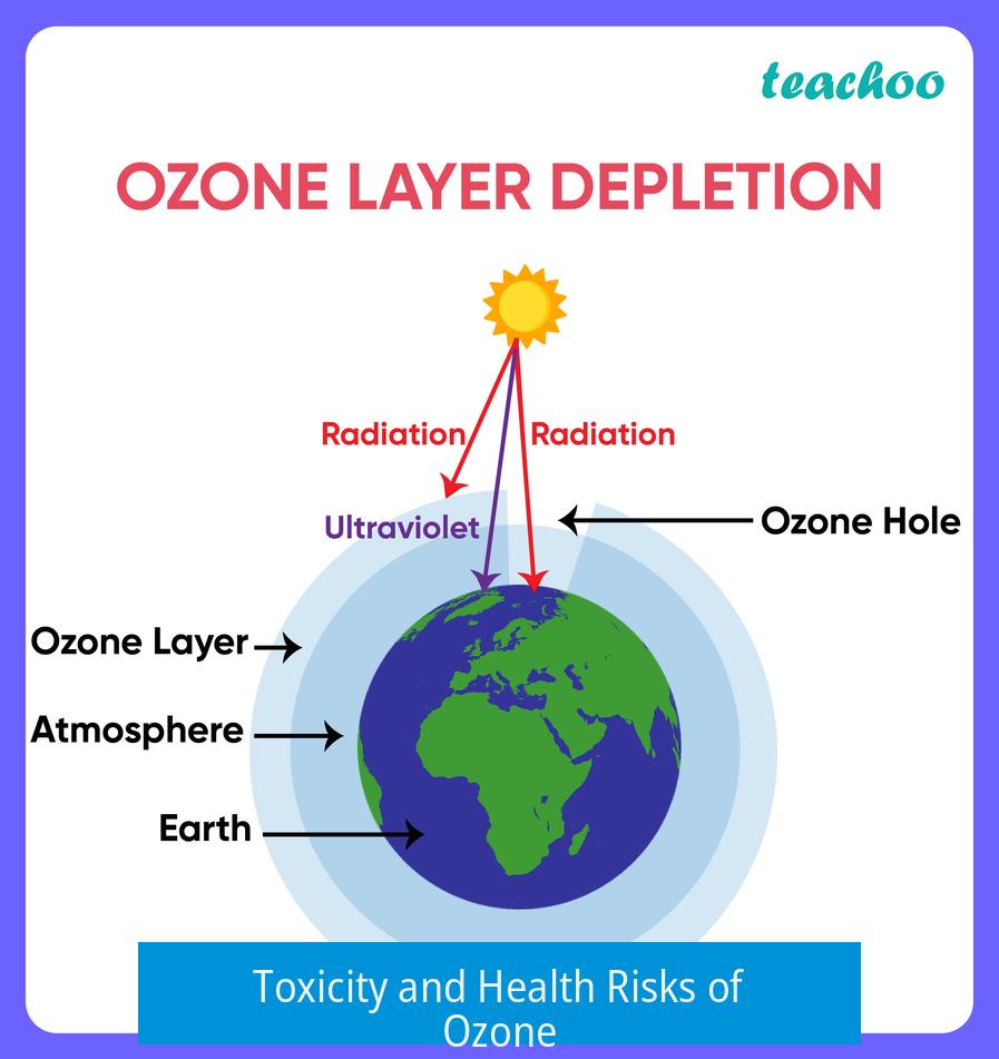 Toxicity and Health Risks of Ozone