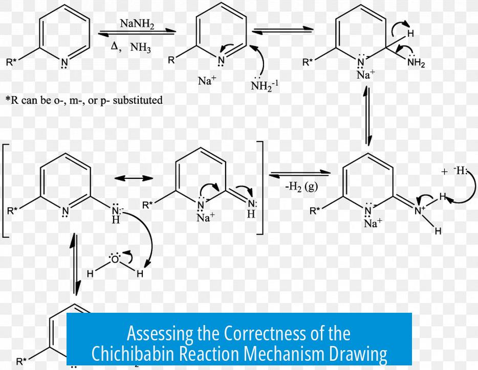 Assessing the Correctness of the Chichibabin Reaction Mechanism Drawing