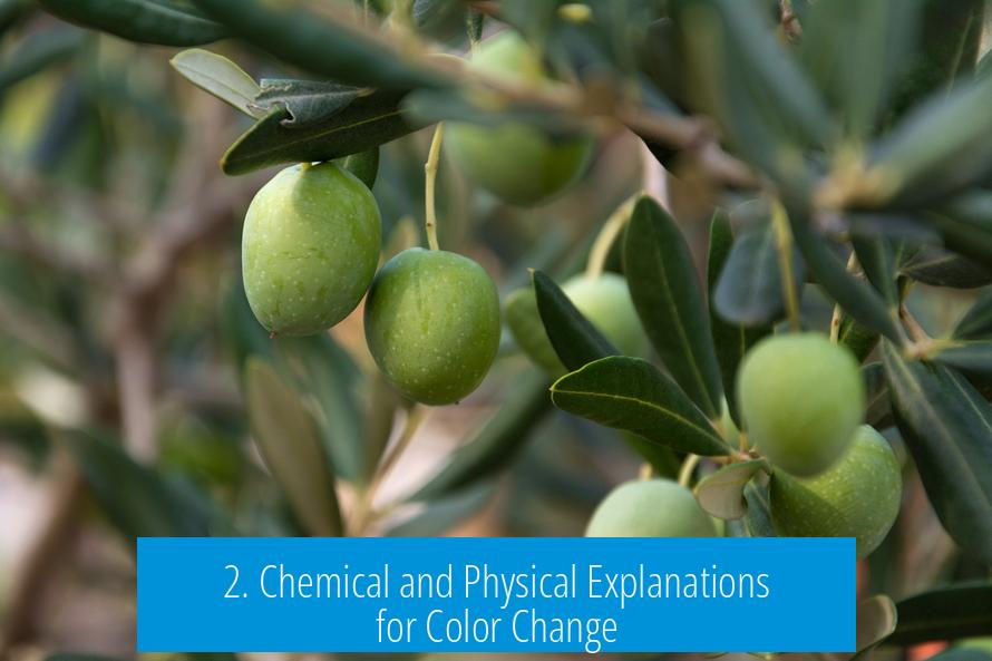 2. Chemical and Physical Explanations for Color Change