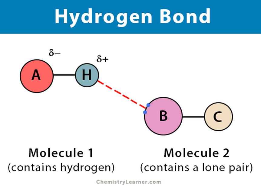 3. When Strength Matters: Bond Durability