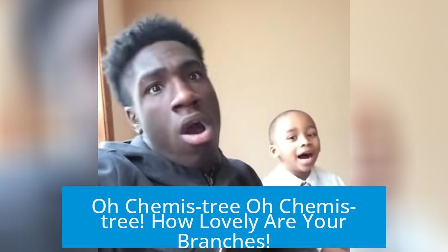 Oh Chemis-tree Oh Chemis-tree! How Lovely Are Your Branches!