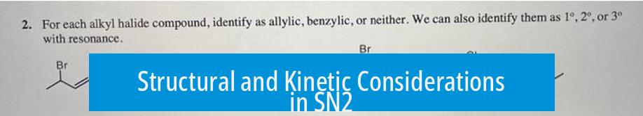 Structural and Kinetic Considerations in SN2