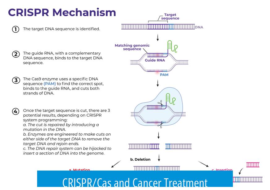 CRISPR/Cas and Cancer Treatment