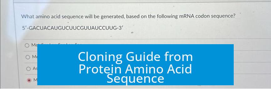 Cloning Guide from Protein Amino Acid Sequence