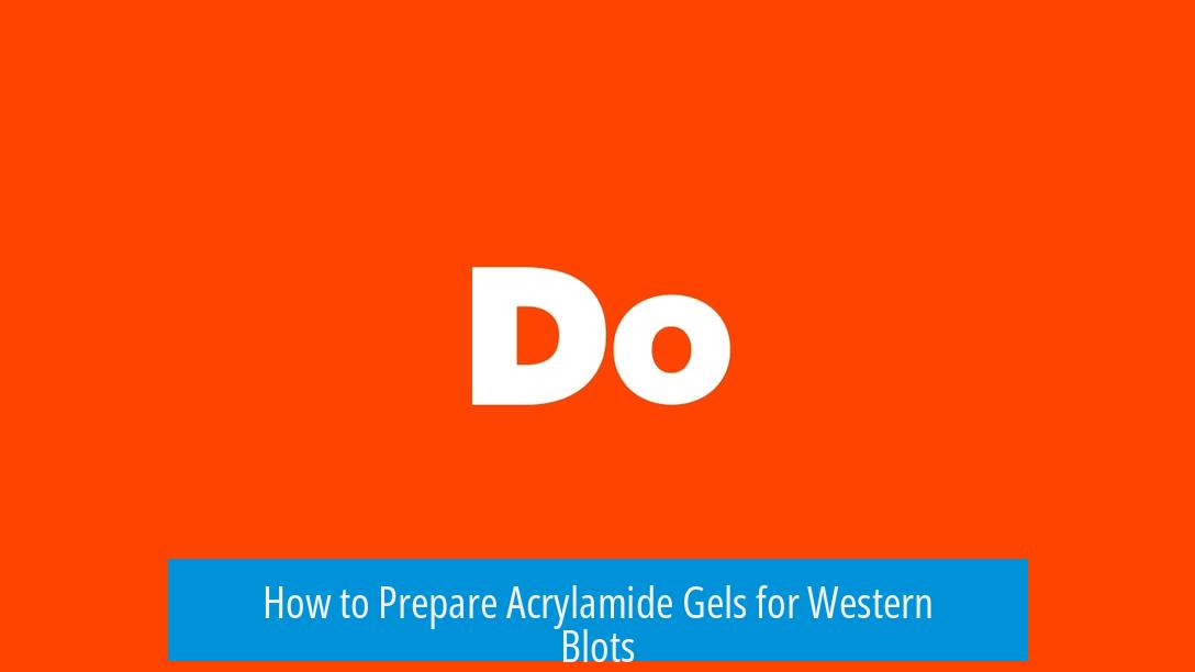 How to Prepare Acrylamide Gels for Western Blots