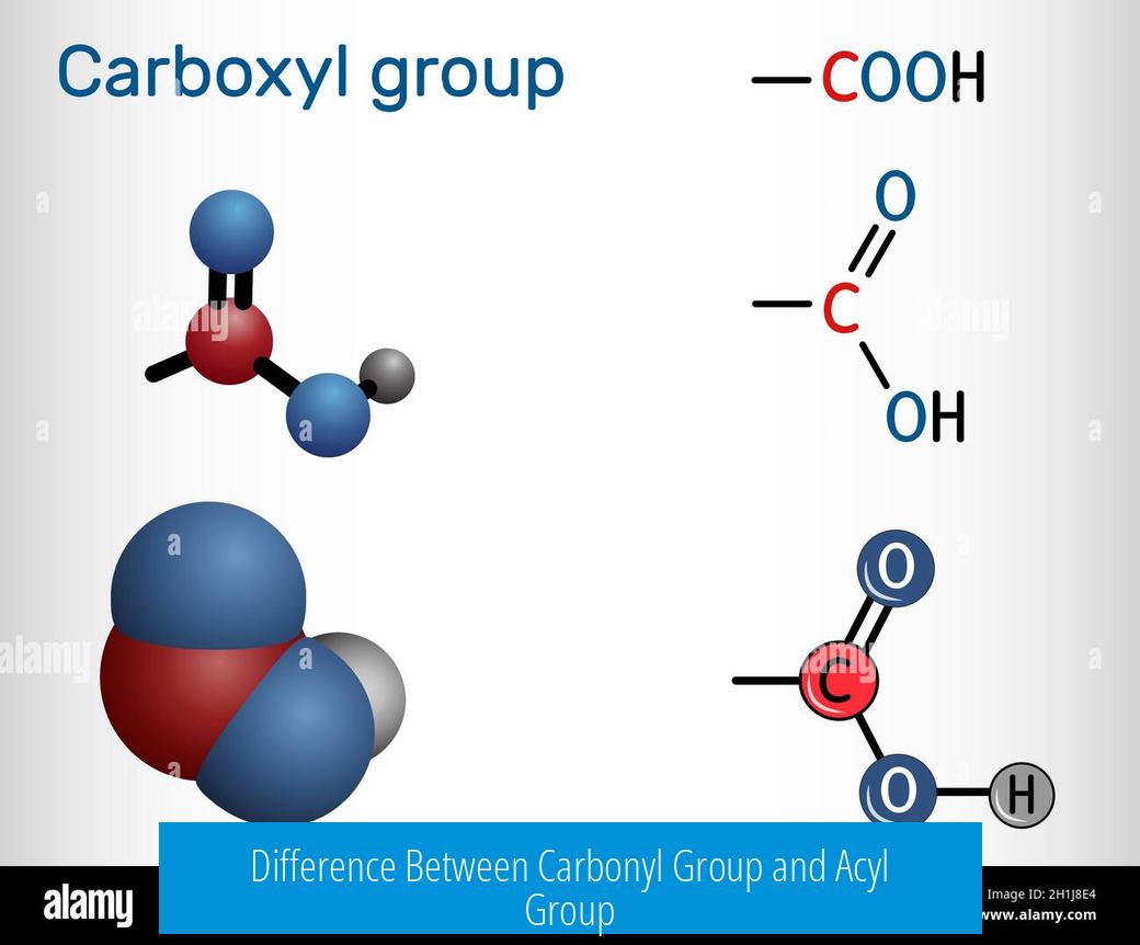 Difference Between Carbonyl Group and Acyl Group
