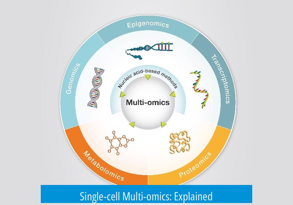 Single-cell Multi-omics: Explained