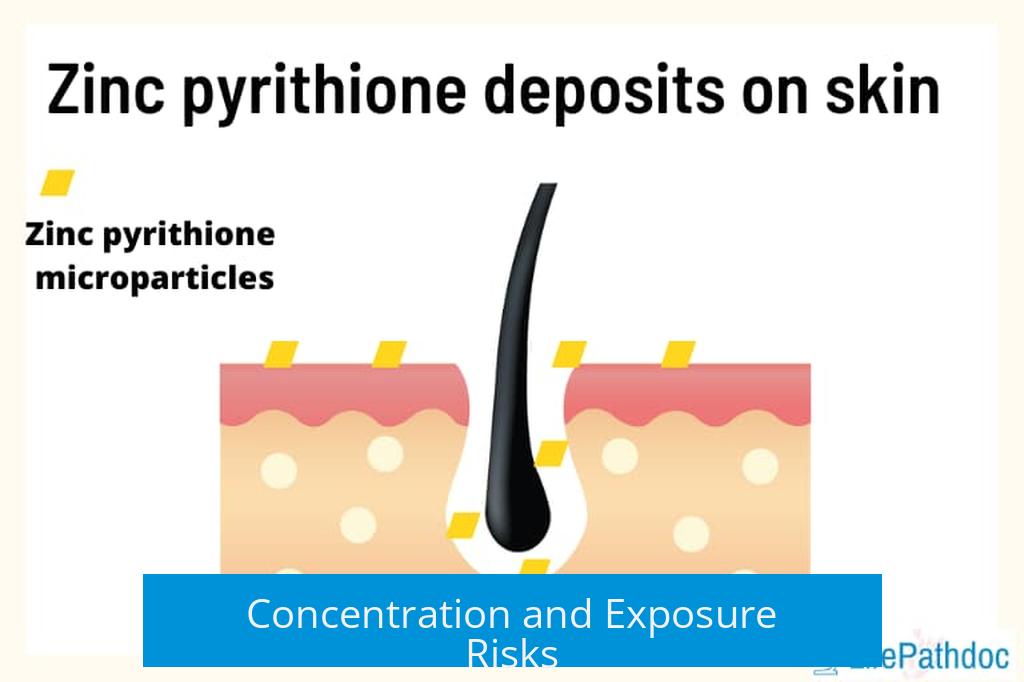 Concentration and Exposure Risks