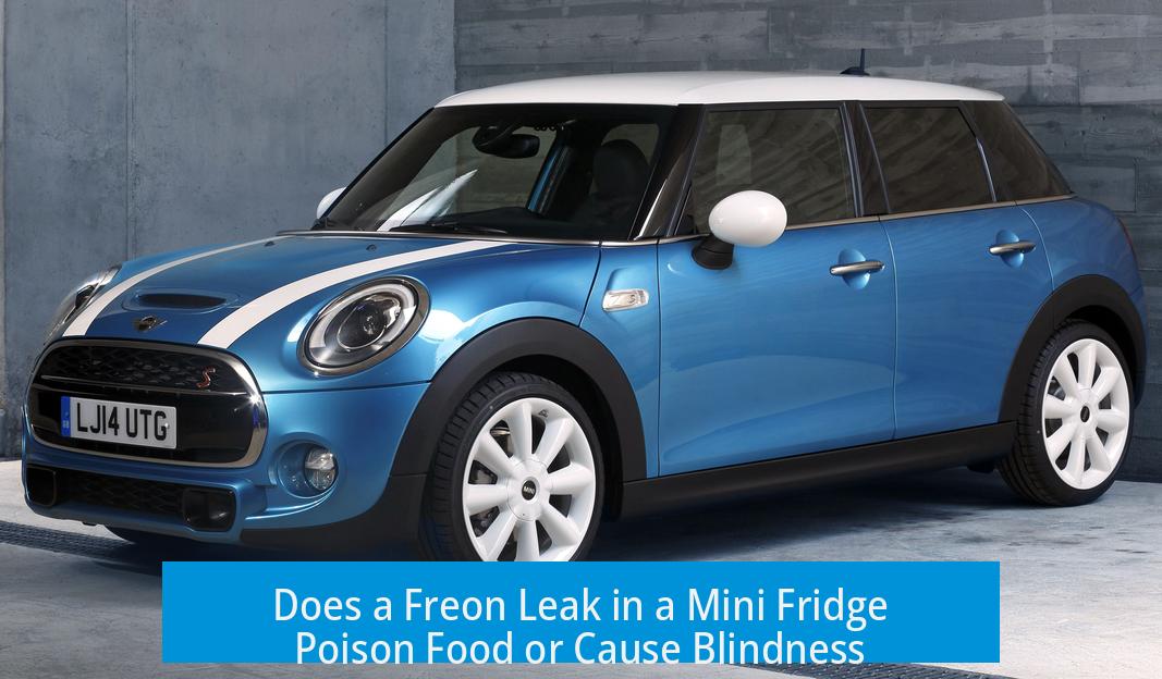 Does a Freon Leak in a Mini Fridge Poison Food or Cause Blindness?