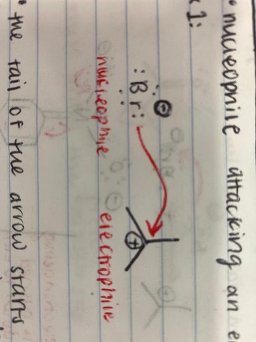 Shift Focus from Memorization to Conceptual Understanding