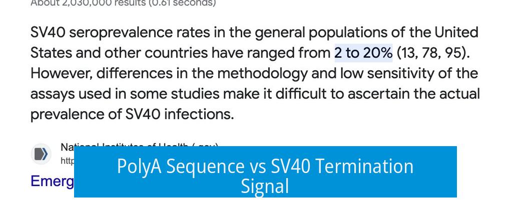 PolyA Sequence vs SV40 Termination Signal