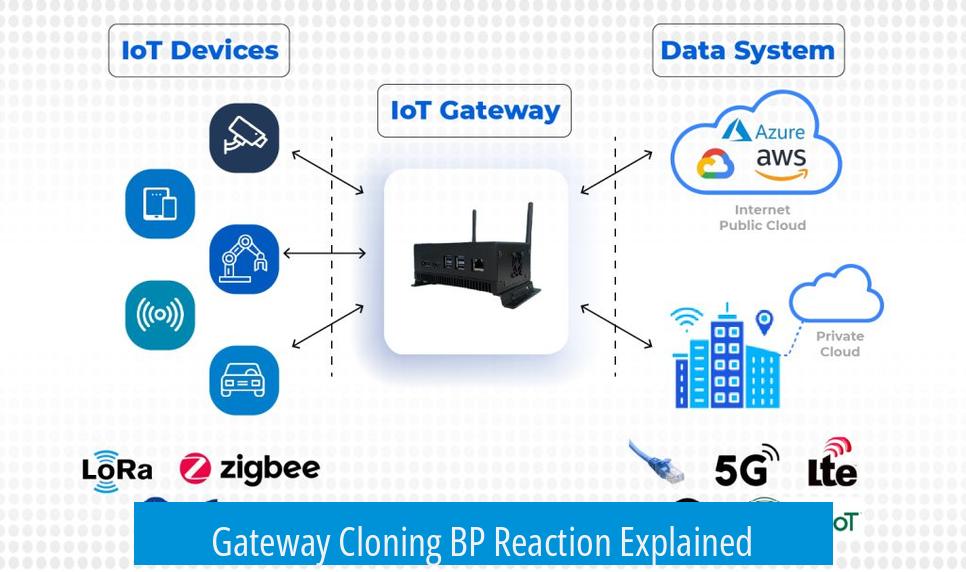 Gateway Cloning BP Reaction Explained