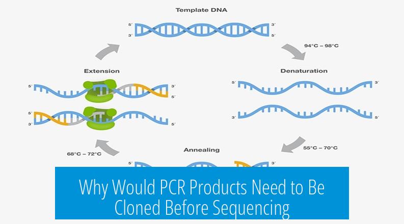Why Would PCR Products Need to Be Cloned Before Sequencing?