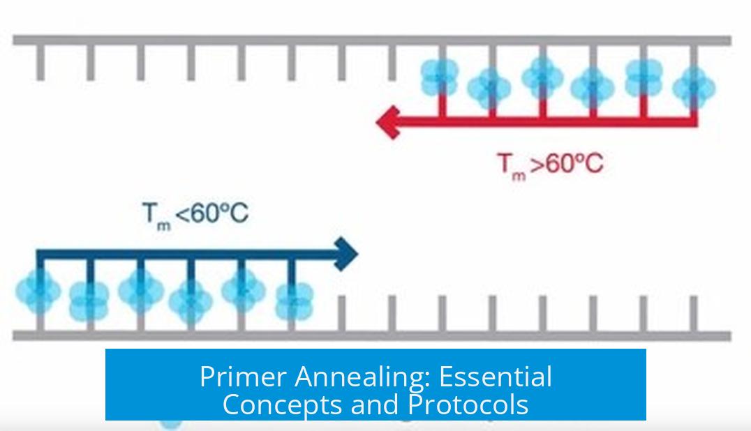 Primer Annealing: Essential Concepts and Protocols
