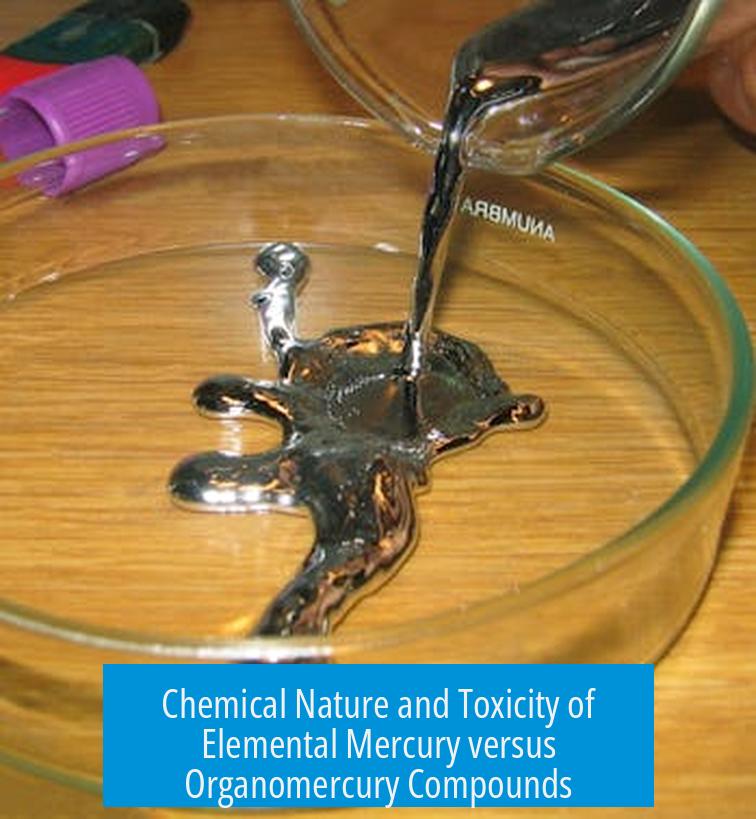 Chemical Nature and Toxicity of Elemental Mercury versus Organomercury Compounds