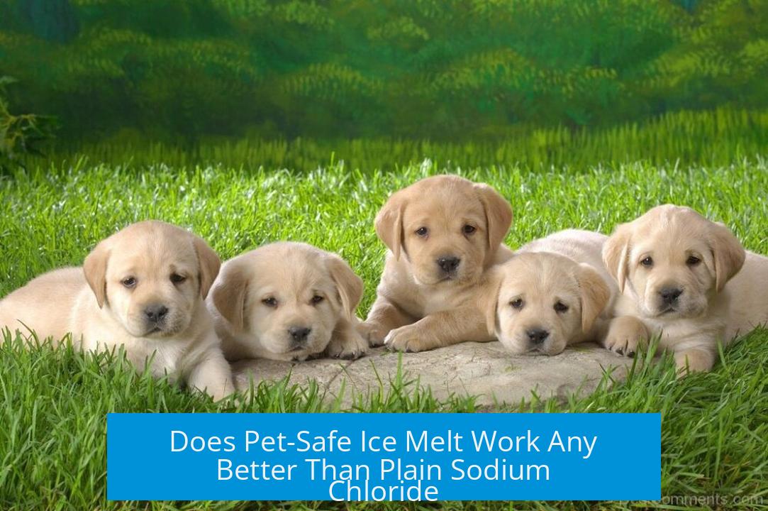 Does Pet-Safe Ice Melt Work Any Better Than Plain Sodium Chloride?