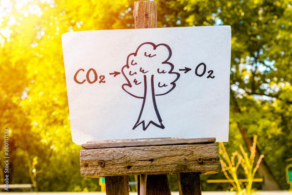 Submarines generate oxygen by electrolyzing seawater. This process splits water molecules into oxygen and hydrogen gases. The hydrogen is discarded, while oxygen is replenished in the air supply. Meanwhile, carbon dioxide is removed using scrubbing agents or absorption on materials. This method effectively separates oxygen from water rather than recycled CO2, meaning it does not reclaim oxygen directly from carbon dioxide molecules.