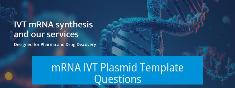 mRNA IVT Plasmid Template Questions