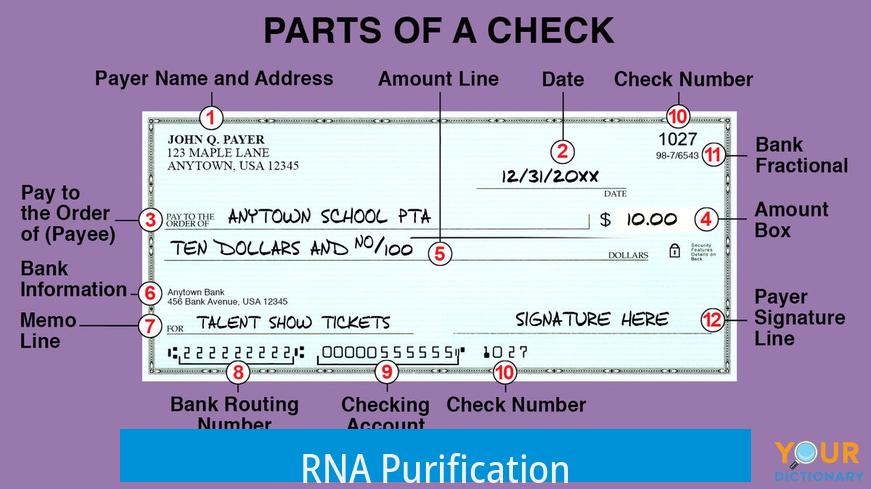 RNA Purification