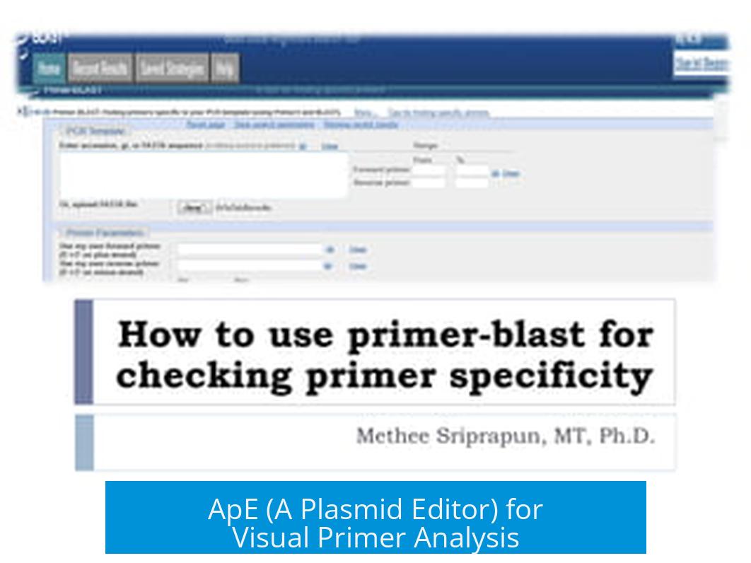 ApE (A Plasmid Editor) for Visual Primer Analysis