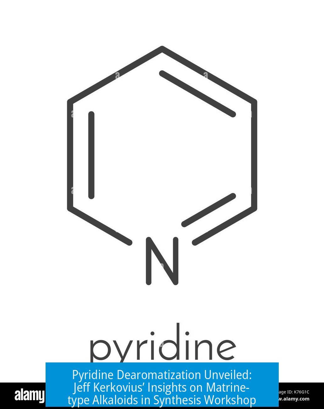 Pyridine Dearomatization Unveiled: Jeff Kerkovius’ Insights on Matrine-type Alkaloids in Synthesis Workshop