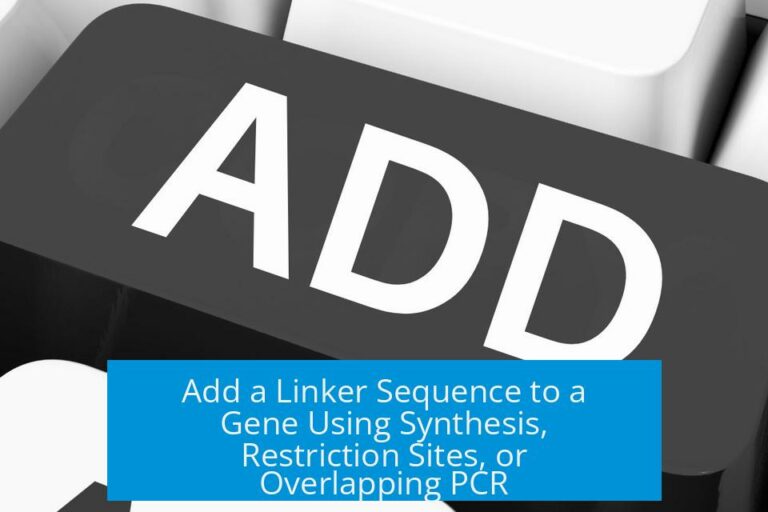 Add a Linker Sequence to a Gene Using Synthesis, Restriction Sites, or Overlapping PCR