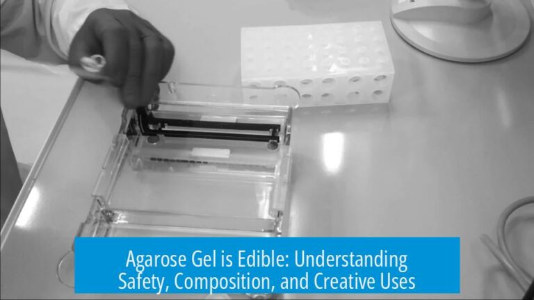 Agarose Gel is Edible: Understanding Safety, Composition, and Creative Uses
