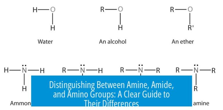 Distinguishing Between Amine, Amide, and Amino Groups: A Clear Guide to Their Differences