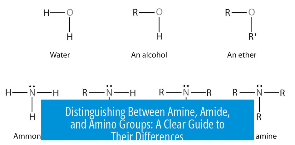 Distinguishing Between Amine, Amide, and Amino Groups: A Clear Guide to Their Differences