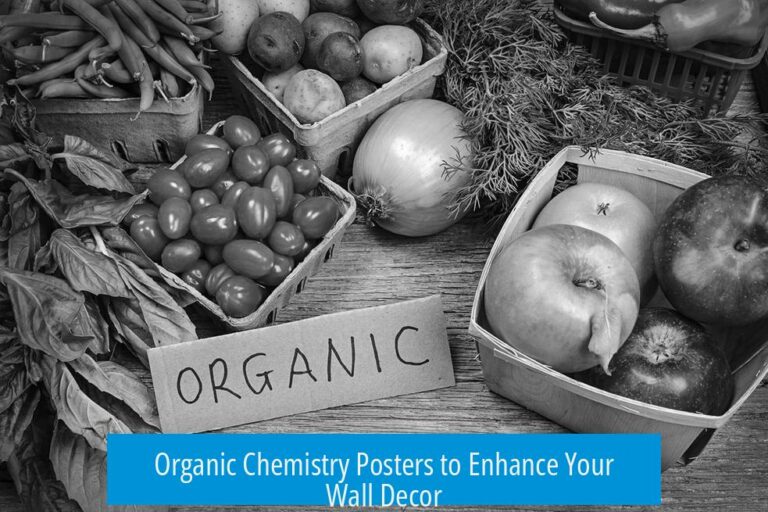 Organic Chemistry Posters to Enhance Your Wall Decor