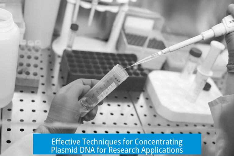 Effective Techniques for Concentrating Plasmid DNA for Research Applications
