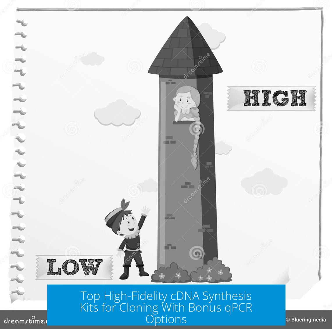 Top High-Fidelity cDNA Synthesis Kits for Cloning With Bonus qPCR Options
