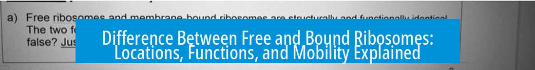 Difference Between Free and Bound Ribosomes: Locations, Functions, and Mobility Explained