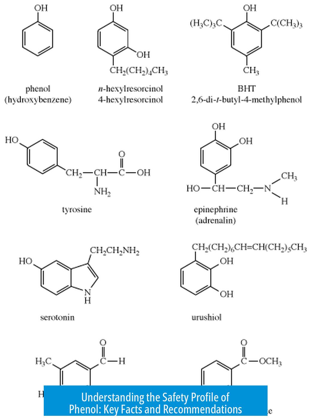 Understanding the Safety Profile of Phenol: Key Facts and Recommendations