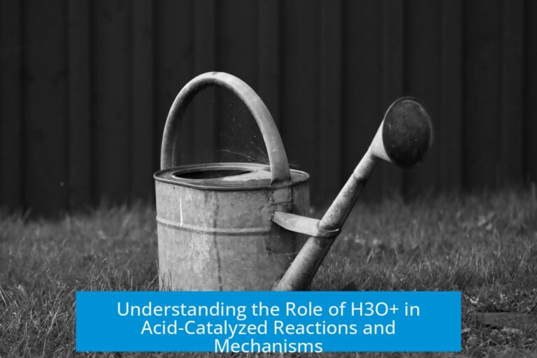 Understanding the Role of H3O+ in Acid-Catalyzed Reactions and Mechanisms