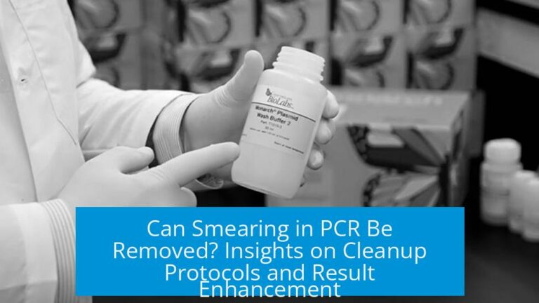 Can Smearing in PCR Be Removed? Insights on Cleanup Protocols and Result Enhancement