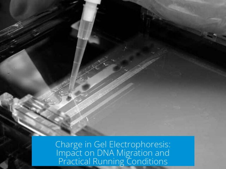 Charge in Gel Electrophoresis: Impact on DNA Migration and Practical Running Conditions