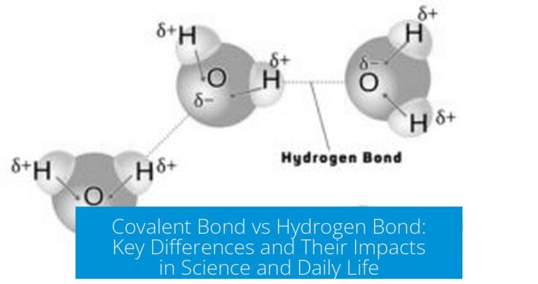 Covalent Bond vs Hydrogen Bond: Key Differences and Their Impacts in Science and Daily Life