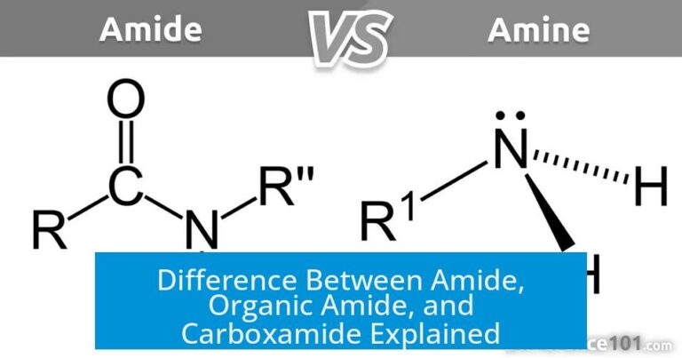 Difference Between Amide, Organic Amide, and Carboxamide Explained